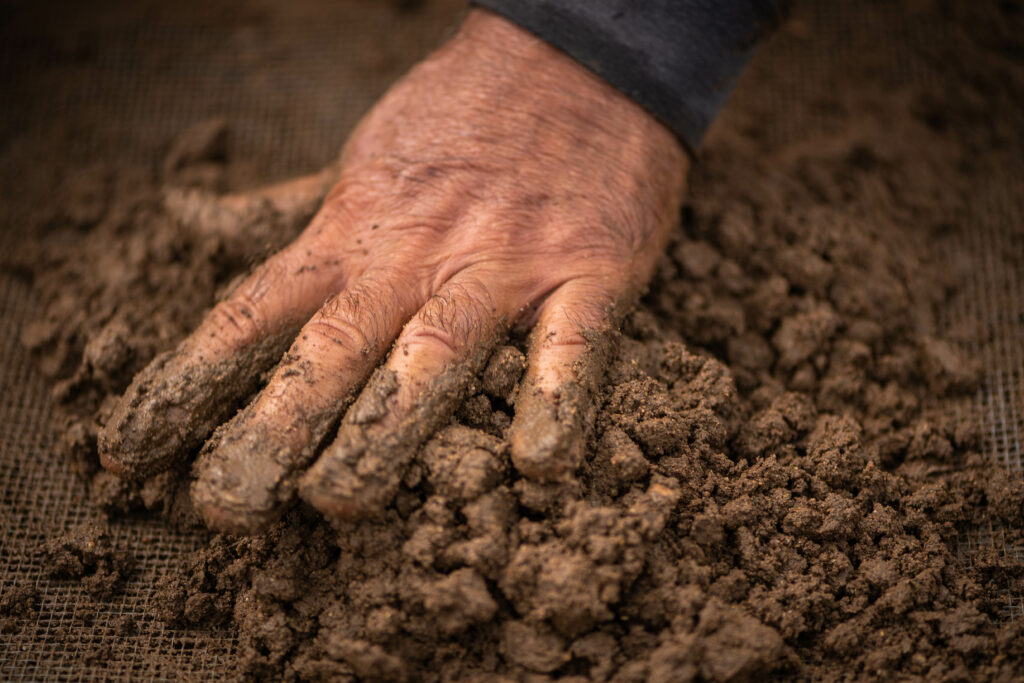 Hands sifting through wet earth