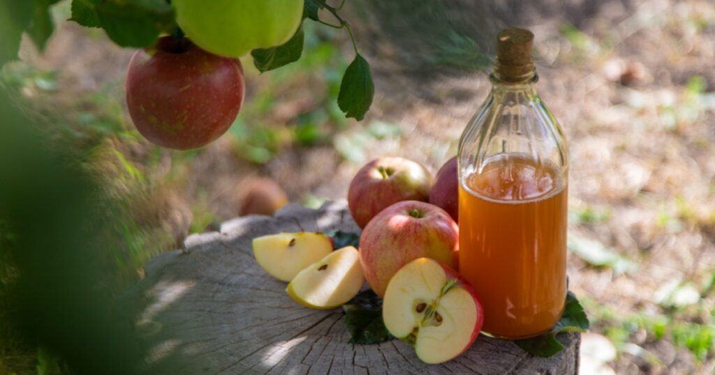 apple cider vinegar
