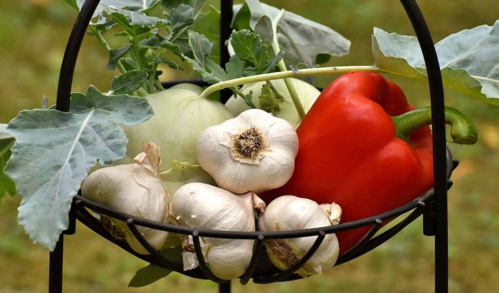 Garlic in a basket with peppers and greens. Blurred background.