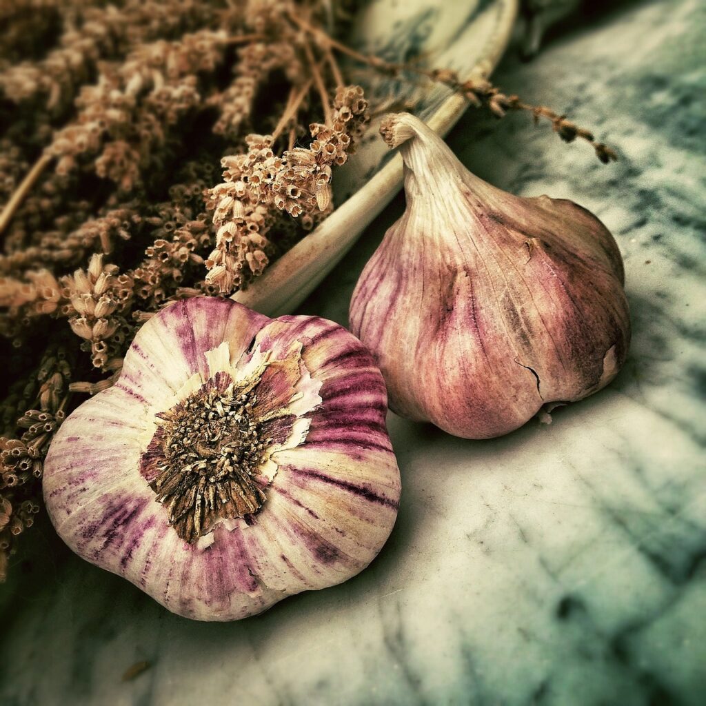 Purple garlic with other herbs. Blurred background.
