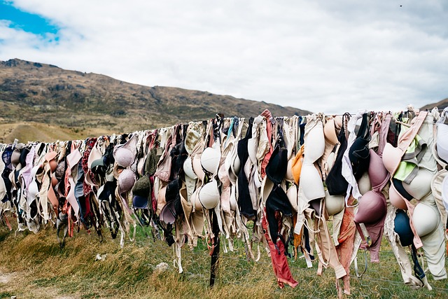 bras on a line