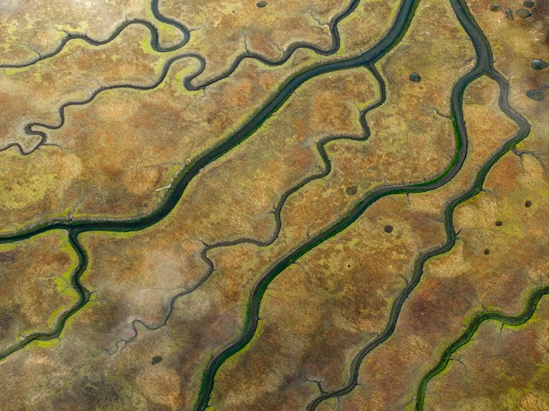 assorted streams from an overhead view
