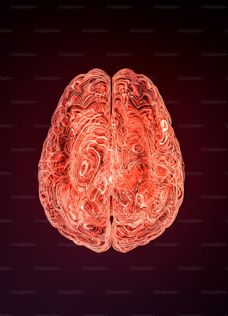 the brain and its neural activity