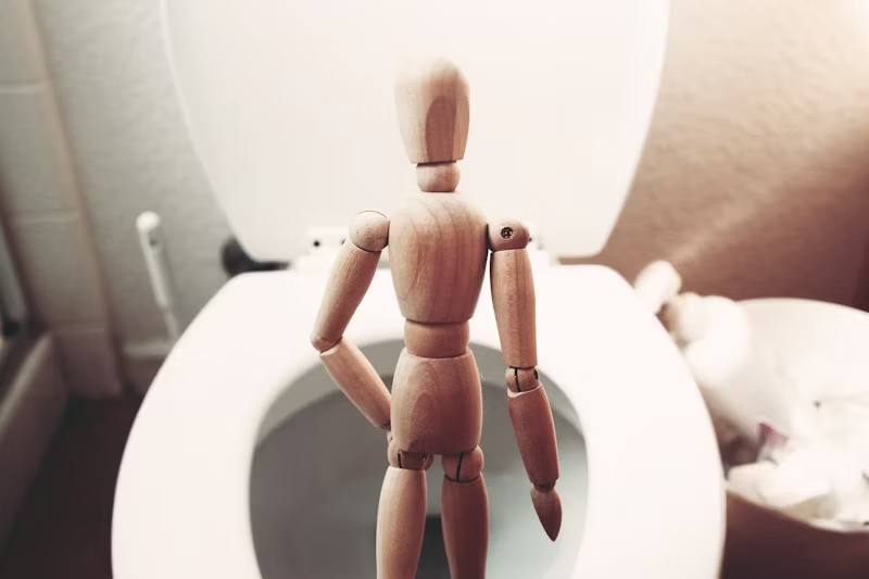 wooden person in front of a toilet