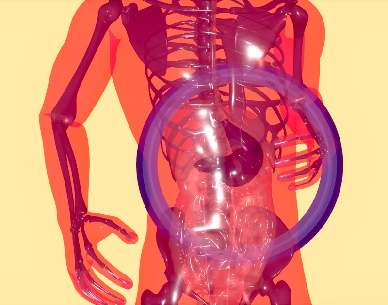 highlighting a person's liver