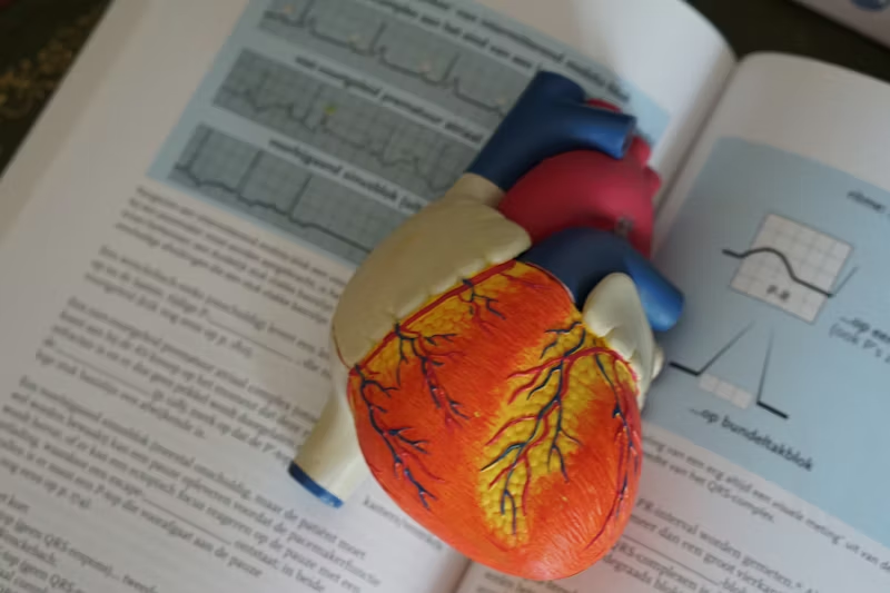 makeshift heart on top of an open textbook