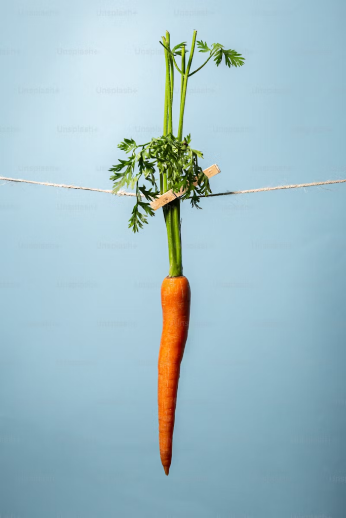 adult carrot hung out to dry