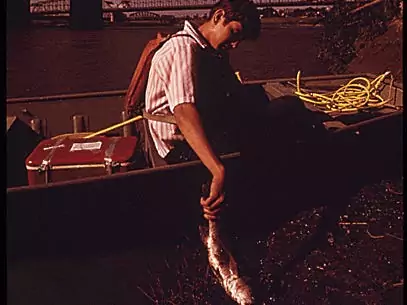 In Kansas City's harbor, on the Missouri River, a local EPA worker points out a dying fish.