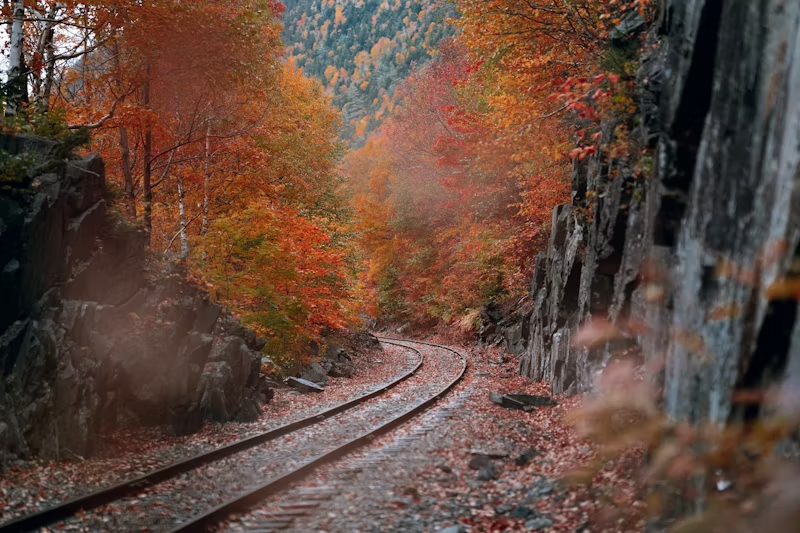 Train tracks through the New Hampshire forests