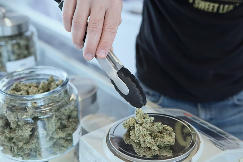 Marijuana being weighed on a scale