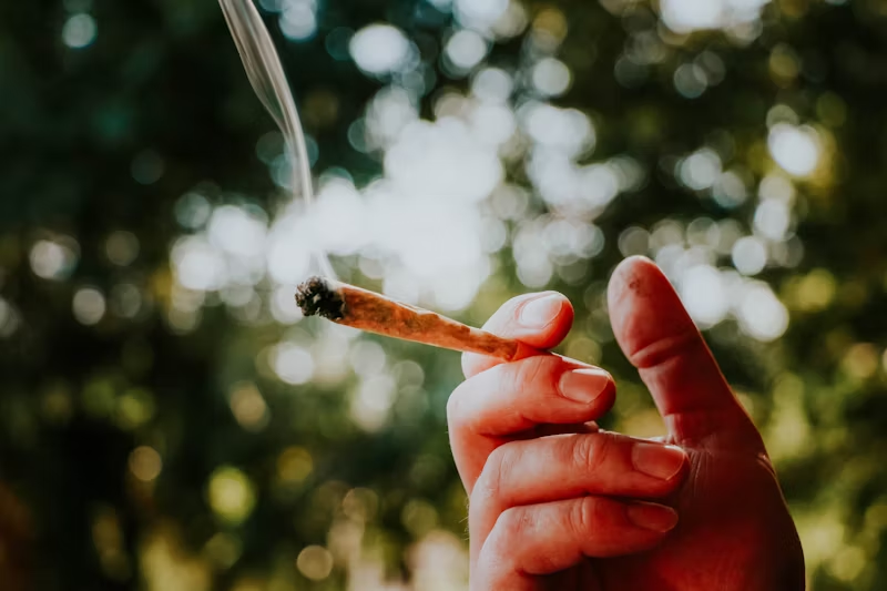 hand holding a lit joint