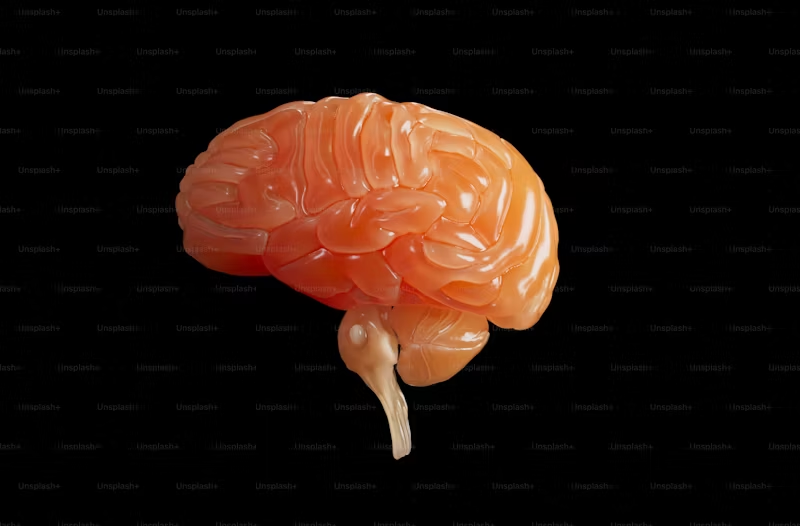 shiny plastic brain