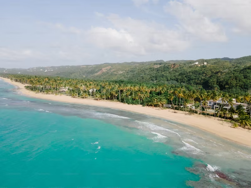 aerial view of the beach