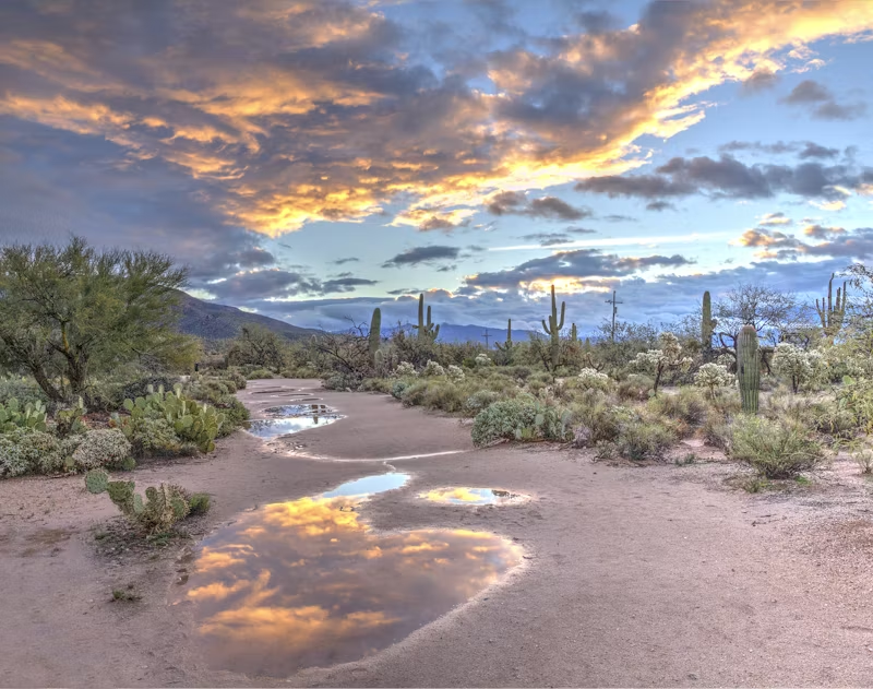 Arizona landscape