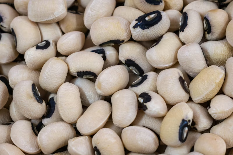 close-up of beans
