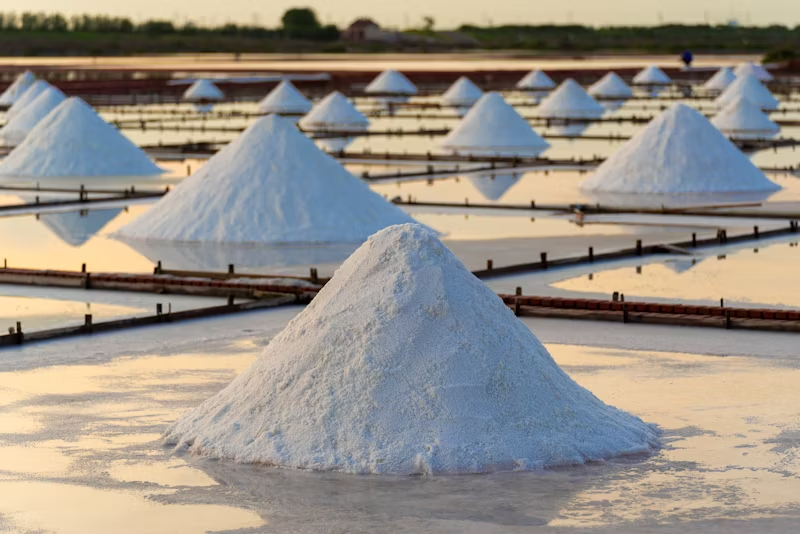salt fields