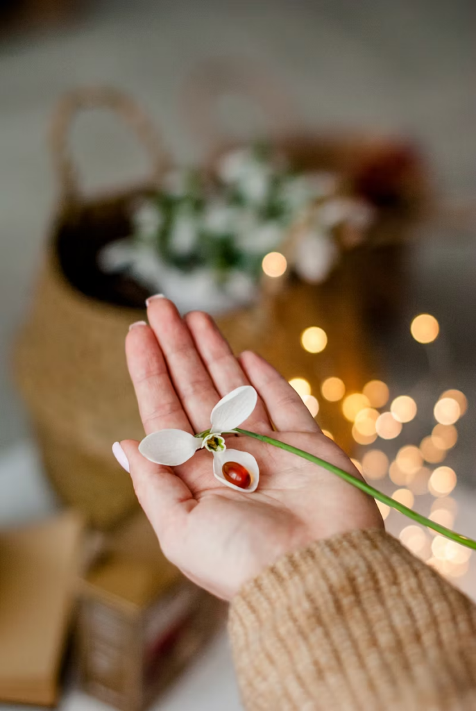 medicinal pill in a flower petal