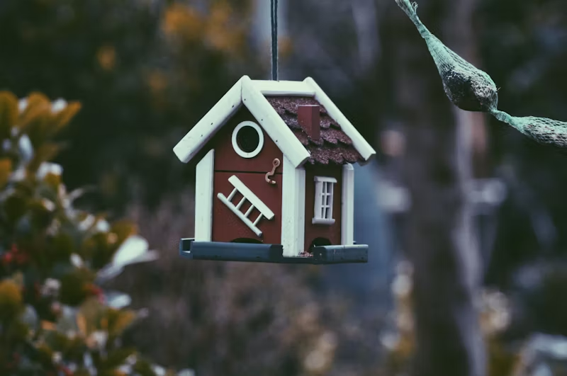 hanging bird feeder