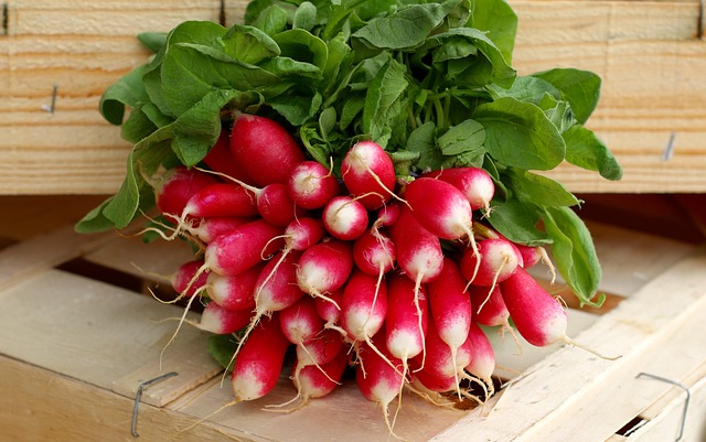 radish