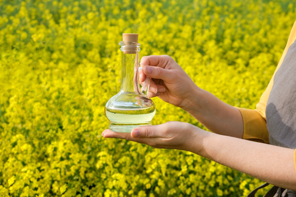 A woman stands in a rape field and holds a glass bottle or jug of rapeseed oil in his hands. Concept of canola oil production.