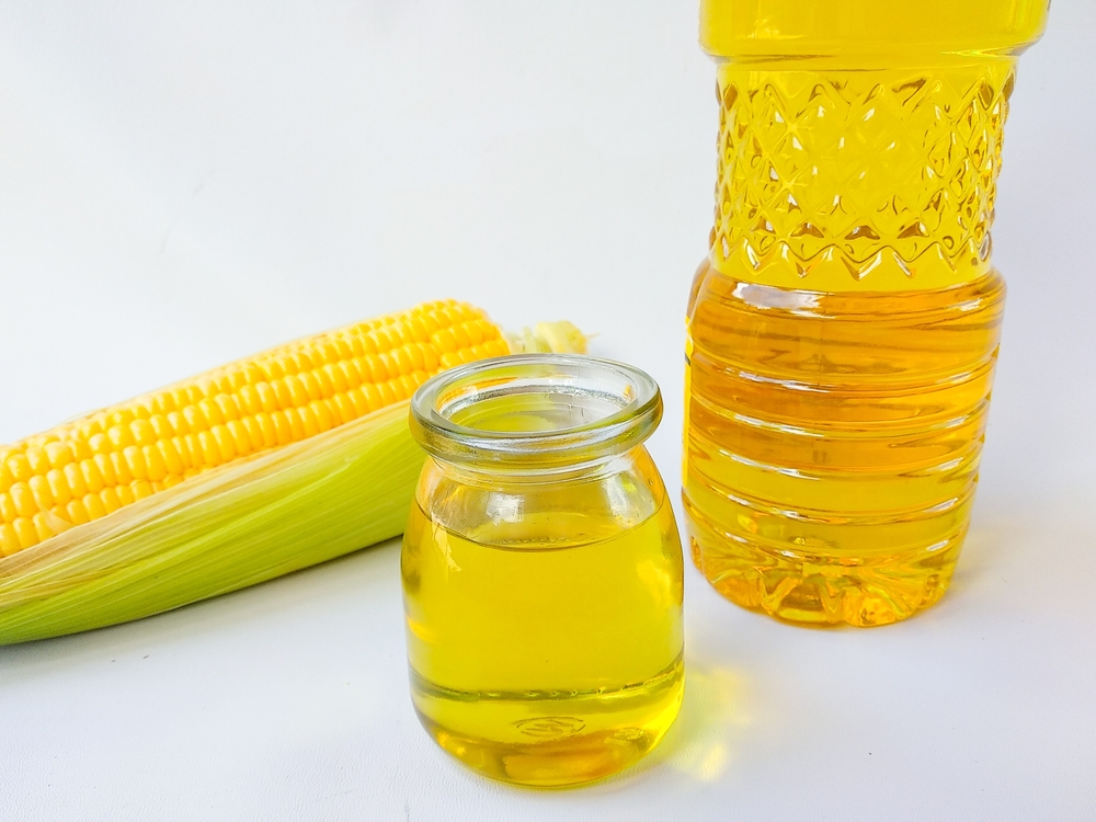 Corn oil in glass with fresh ripe corn cobs on white background

