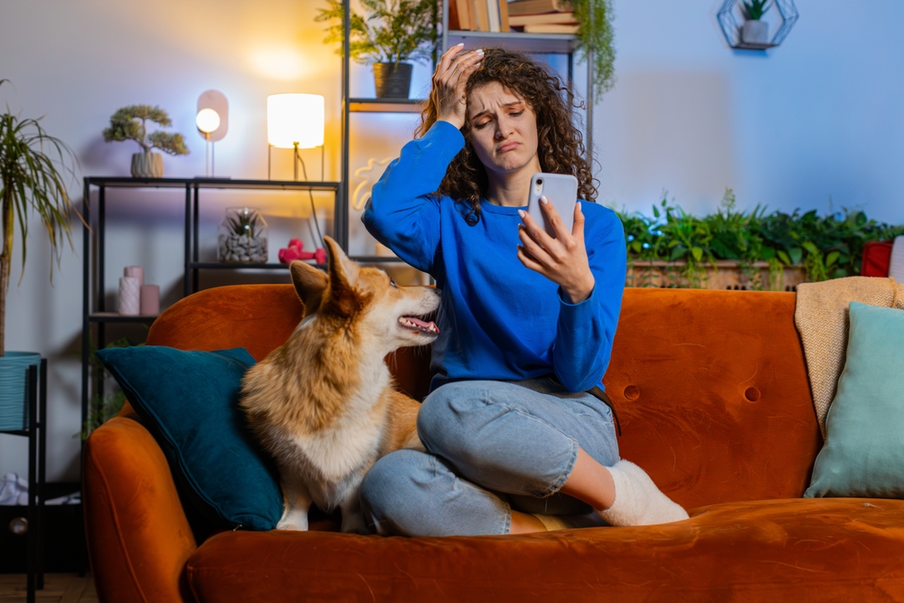 Upset displeased woman with curly hair using smartphone sitting beside corgi dog on sofa in living room. Young girl in casual clothes loses becoming surprised by sudden lottery results or bad news.