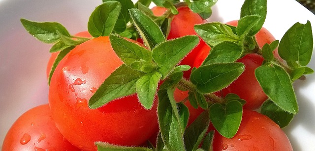 washed tomatoes