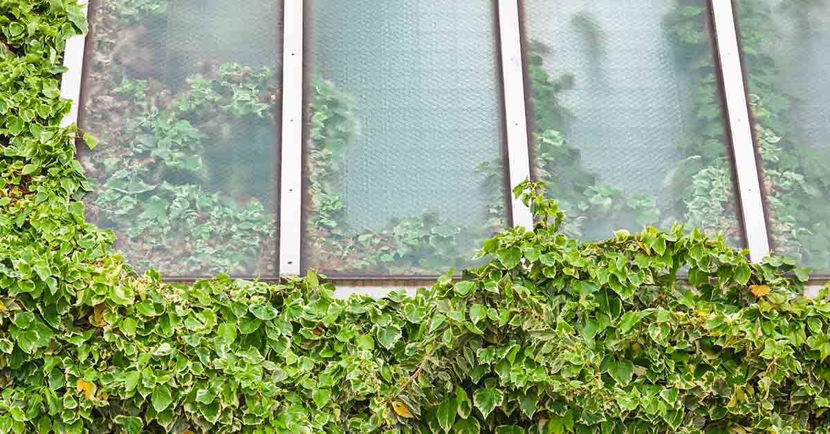 Woman Encloses Home in Massive Greenhouse To Grow Food Year-Round and Stay Warm in Cold Norwegian Climate