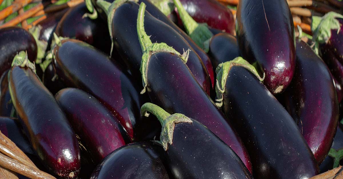 20 of The Most Nutrient-Dense Vegetables, According to Nutritionist