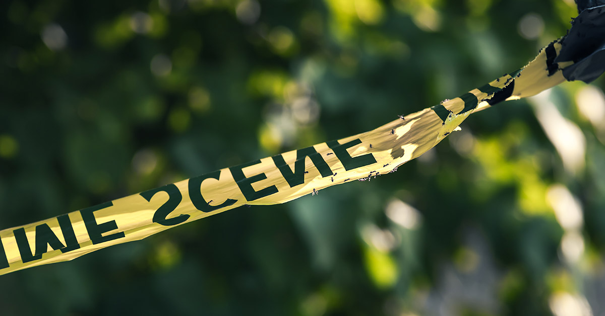 10 Bizzare and Twisted  Crimes That Happened For No Apparent Reason