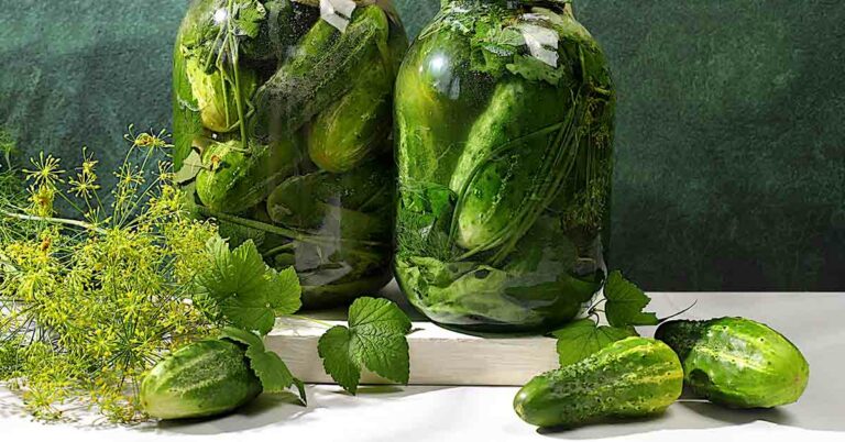 10+ Delicious Ways To Get Your Probiotics - Featured image