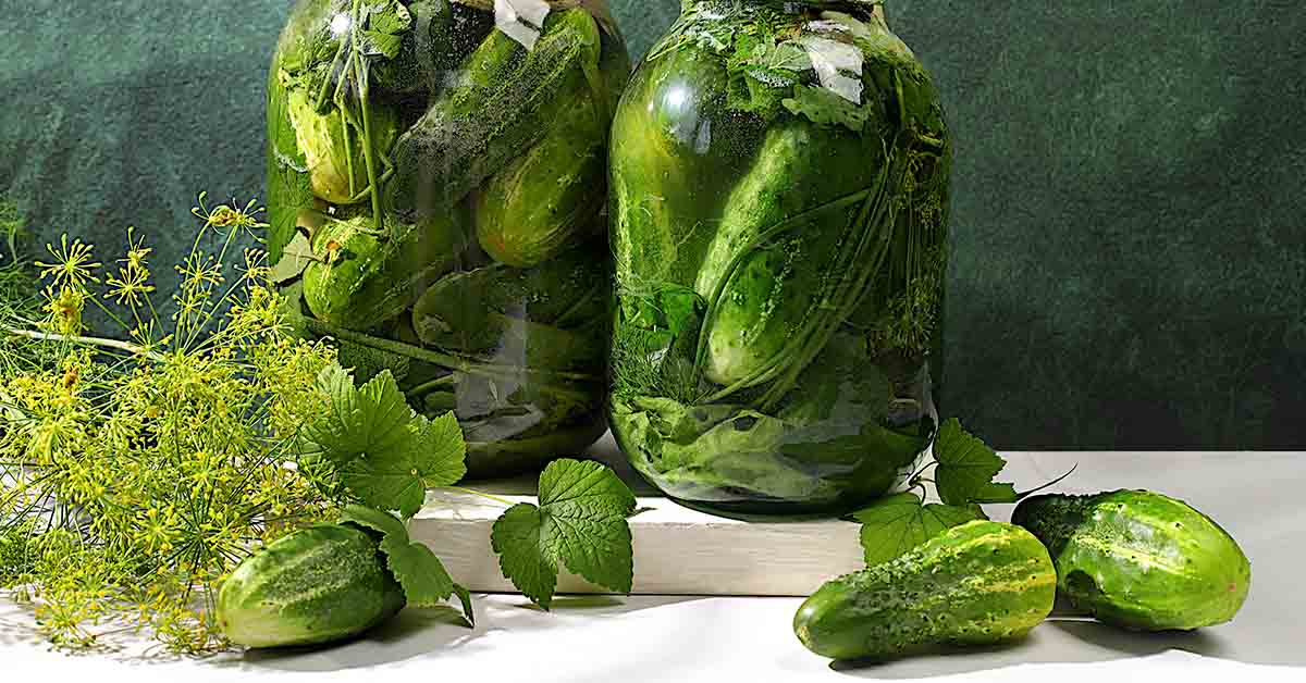 10+ Delicious Ways To Get Your Probiotics