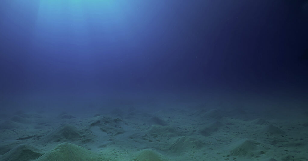 Scientists Discovered A Glowing Golden Orb They Believe May Be A Strange Egg While Exploring The Seafloor Off The Coast Of Alaska - Featured image