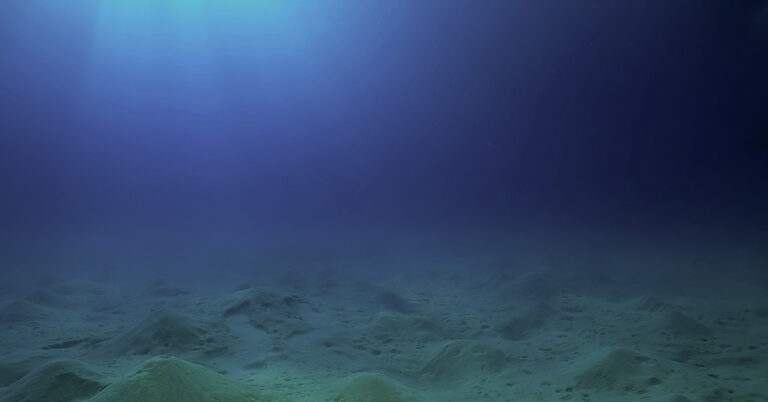 Scientists Discovered A Glowing Golden Orb They Believe May Be A Strange Egg While Exploring The Seafloor Off The Coast Of Alaska - Featured image