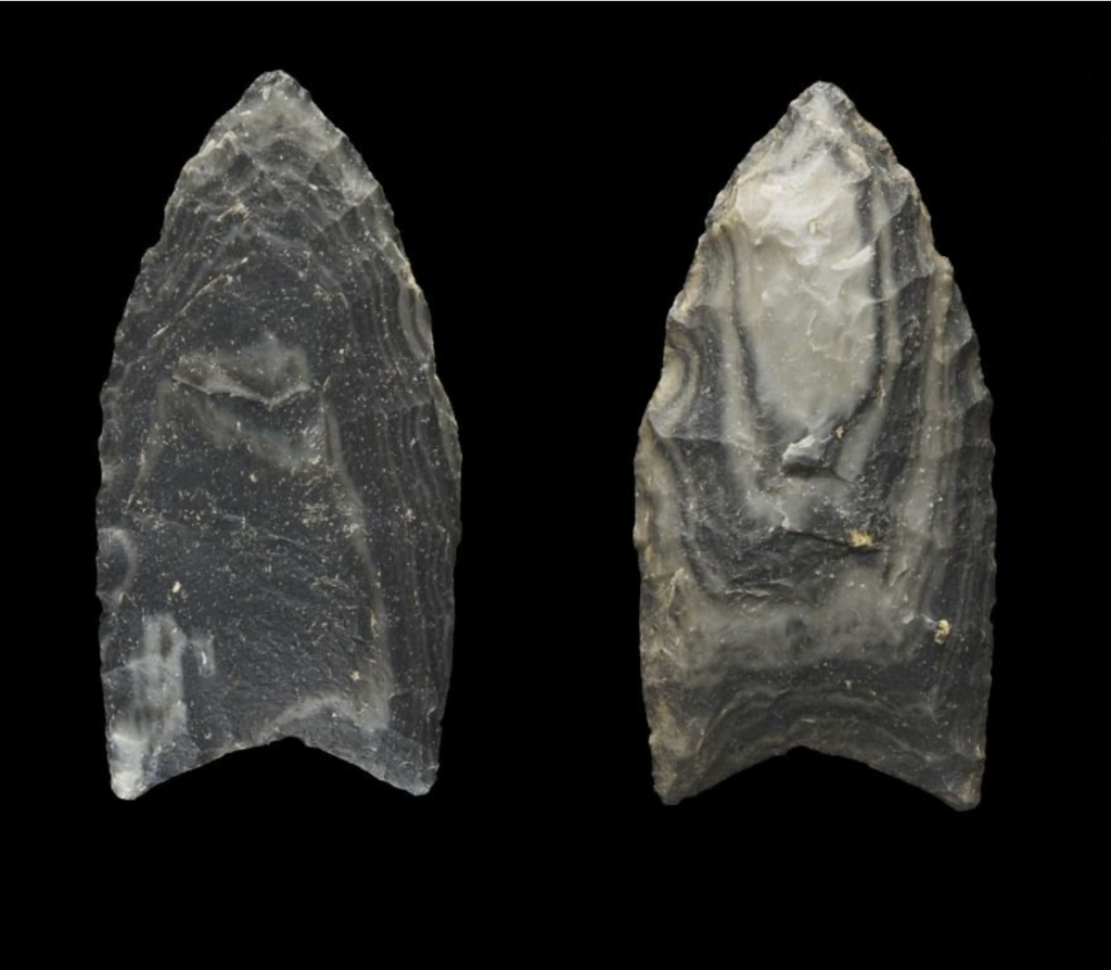 Clovis Spear Point from Wupatk National Monument