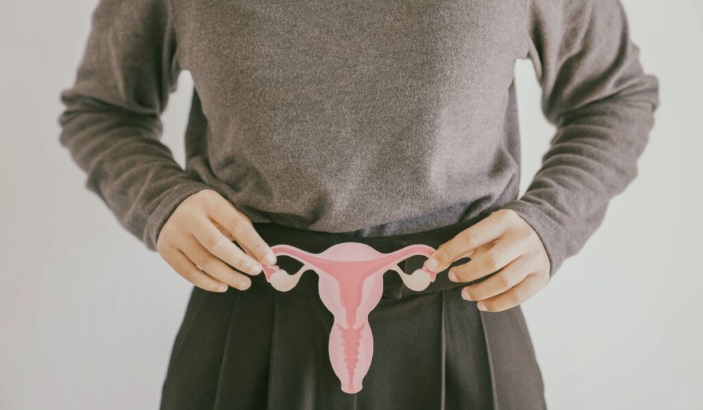 Woman hands holding uterus, female reproductive system , woman health, PCOS, gynecologic and cervical cancer concept