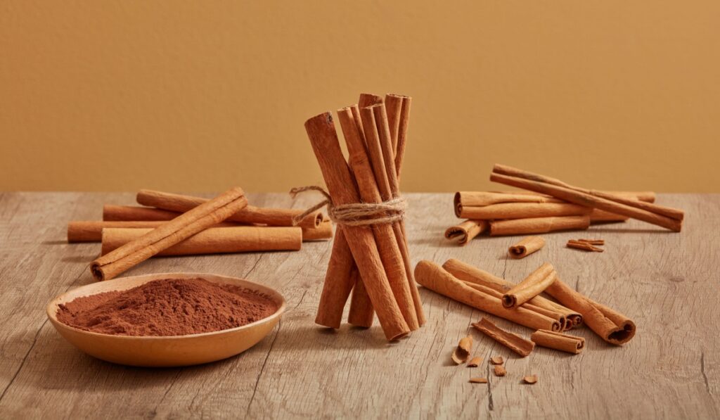 Many cinnamon sticks are decorated on a wooden table with cinnamon powder placed on a dish. Cinnamon (Cinnamomum) brings a lot of benefits for health, body and skin