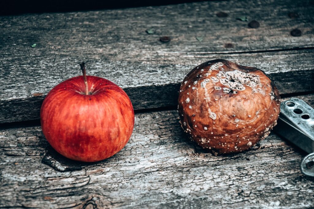 A fresh apple next to a red apple. Wooden background.