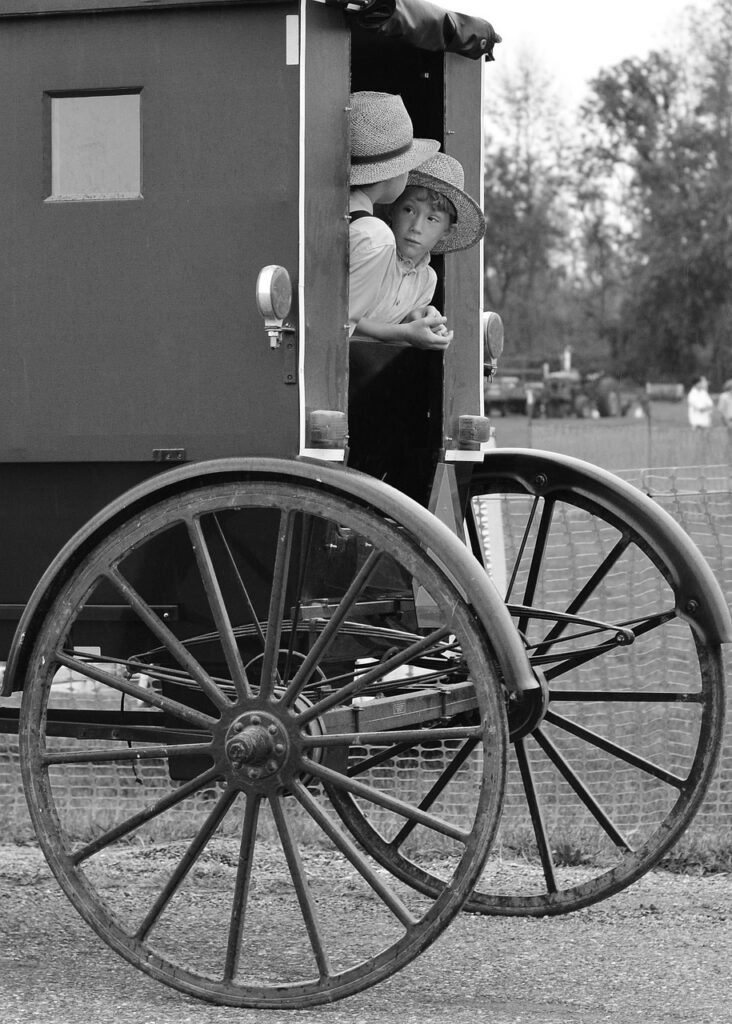 Black and white image of a carriage with two boys riding in the back.