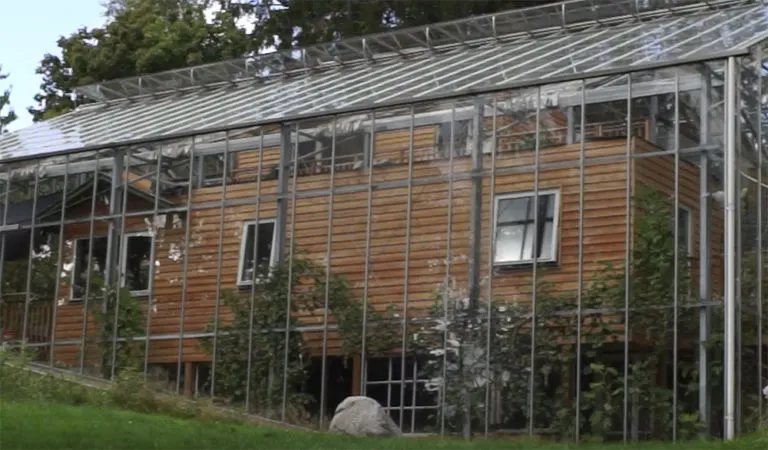Embracing Eco-Friendly Solutions