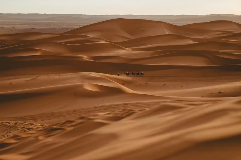 How the Sahara usually looks. Arid and covered in sand