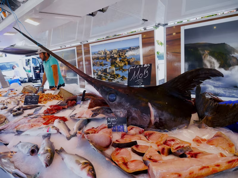 swordfish available to buy in a grocery store