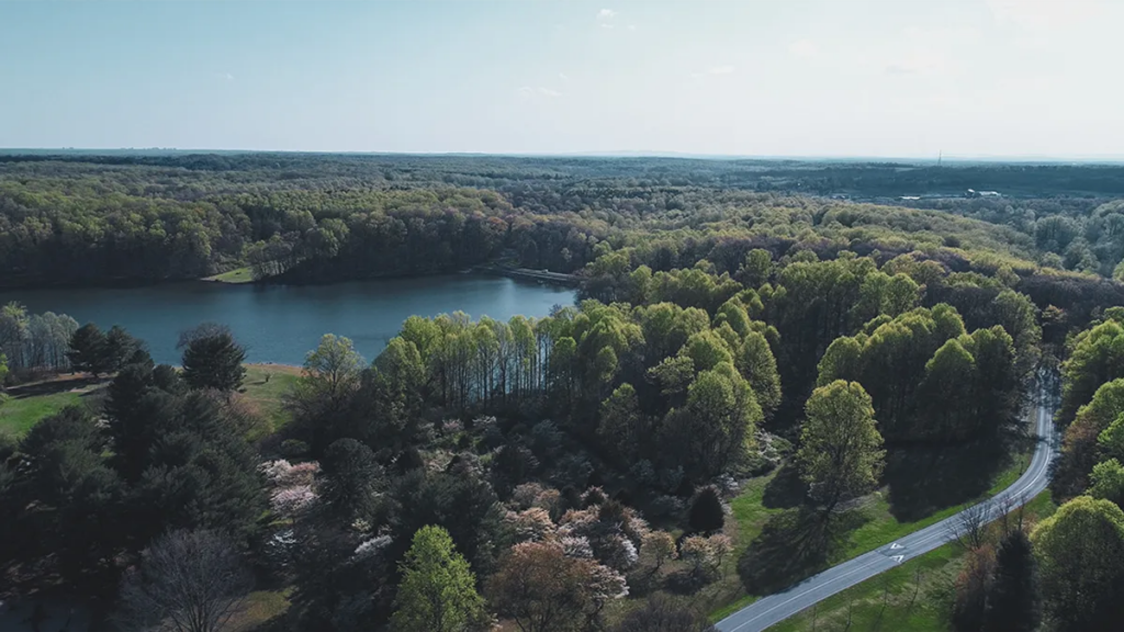 The noises are referred to as the Seneca Guns near Lake Seneca.
