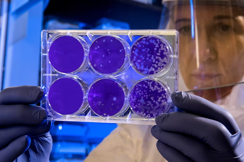 a doctor examining cellular changes