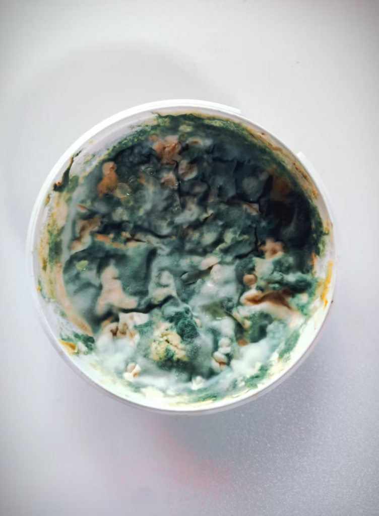 some concerning looking frozen leftovers in a bowl
