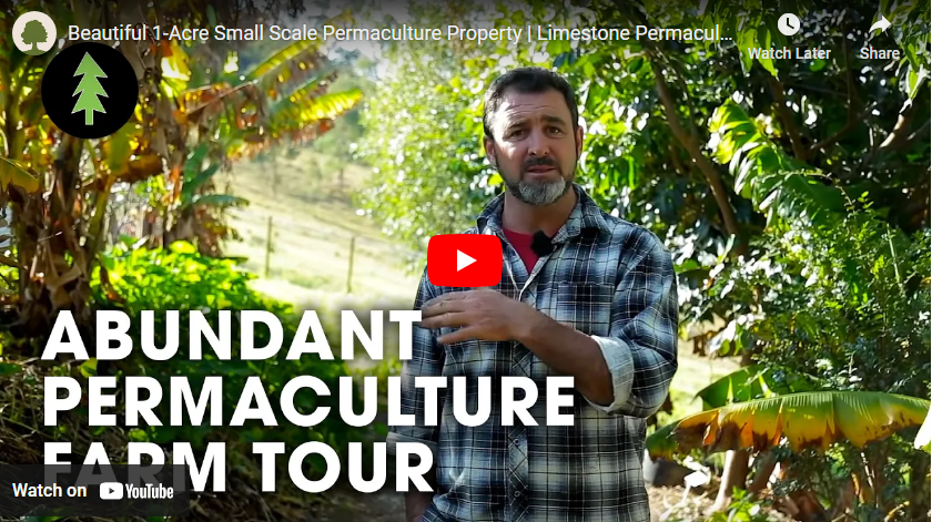 permaculture video