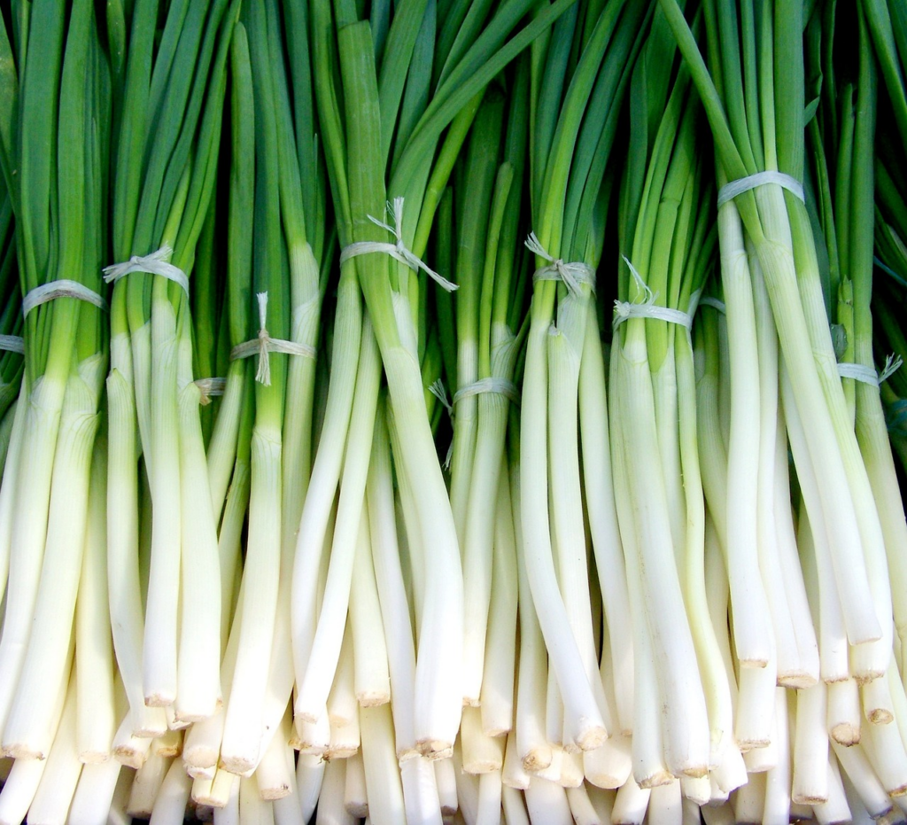 green onions 