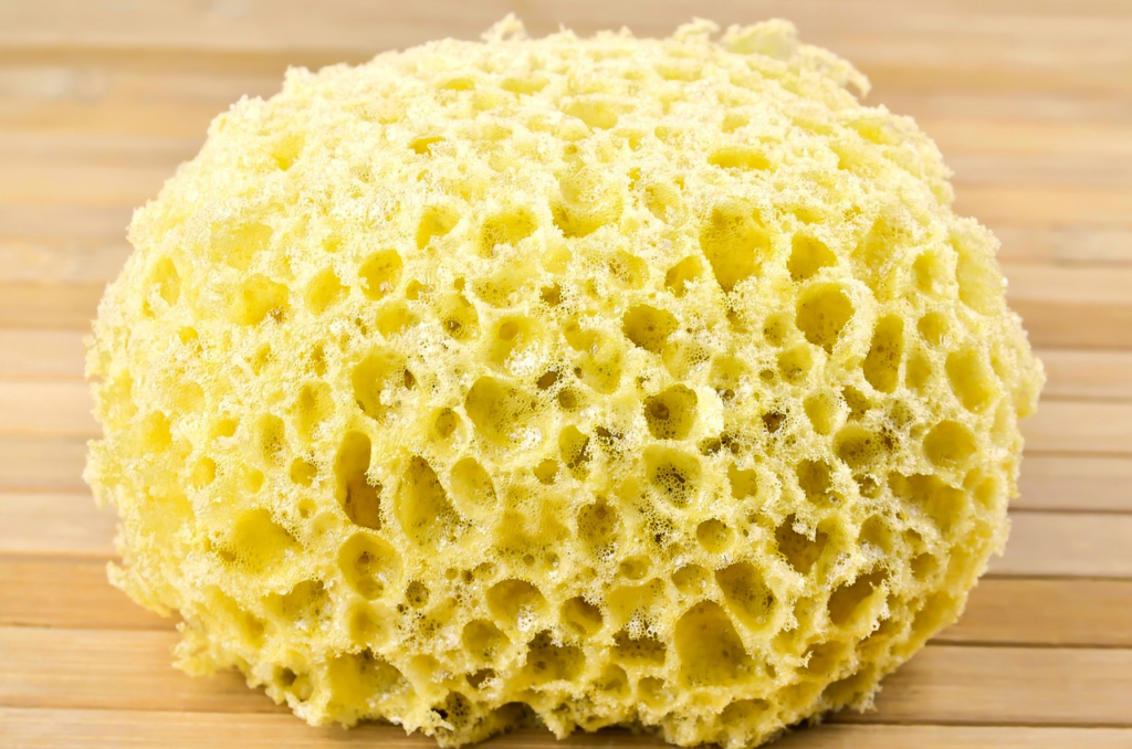 a damp looking, round sponge