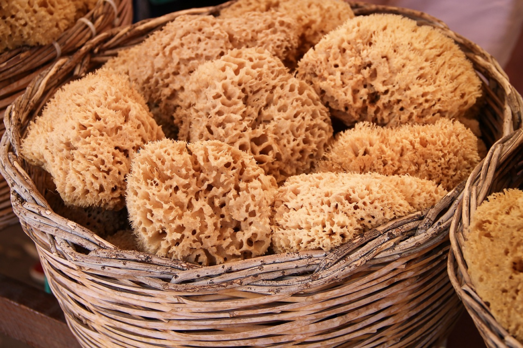 a basket full of sponges