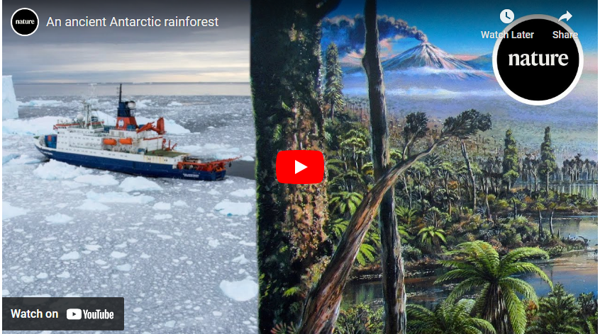 antarctic forest
